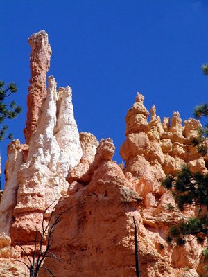 P9050018