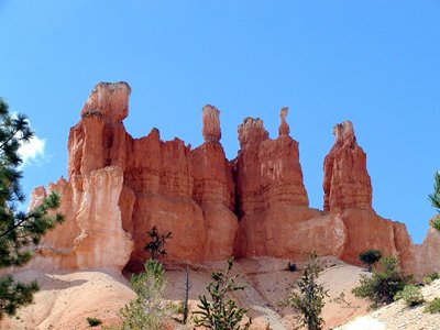 P9050032