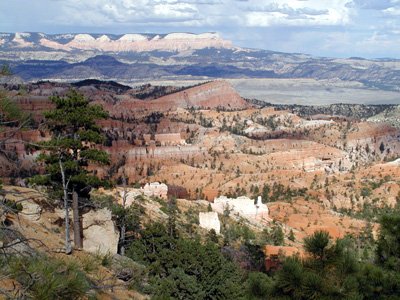 P9040039