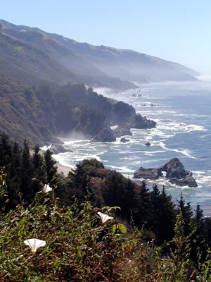 309-coast