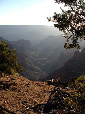 P8310131