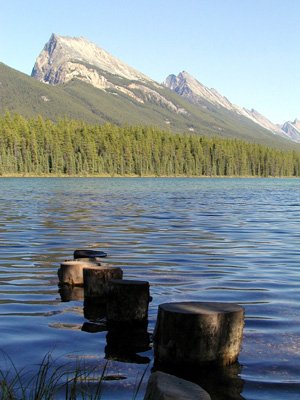 301-jasper