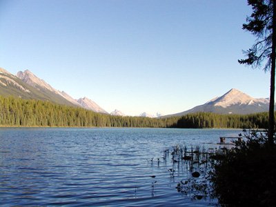 303-jasper