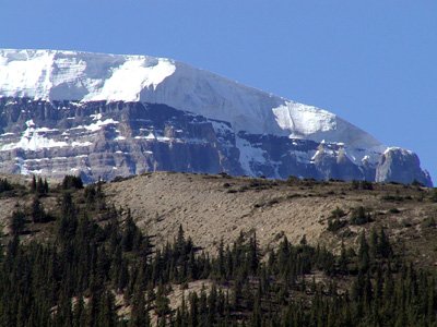 300-jasper