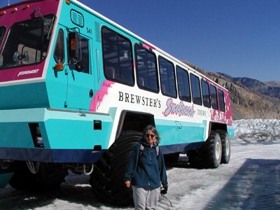 205-jasper