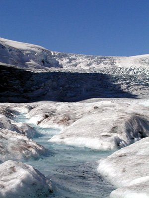 215-jasper
