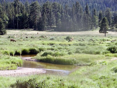 222-rockymtn
