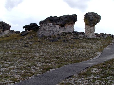 234-rockymtn