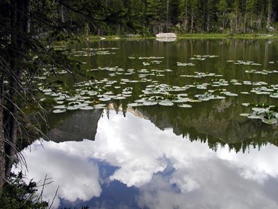 212-rockymtn