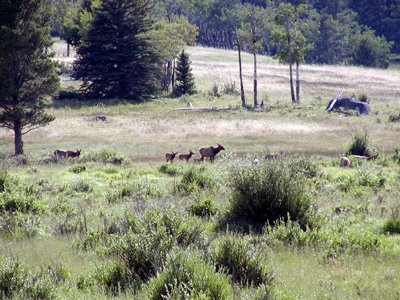 221-rockymtn