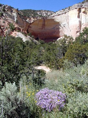 P9120067