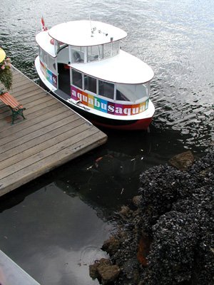 P8190049