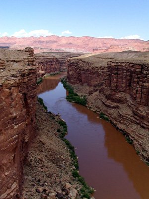 P8310089