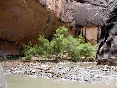 Western US