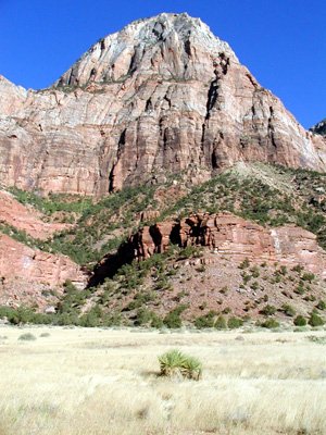 P9020061