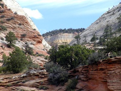 P9040012