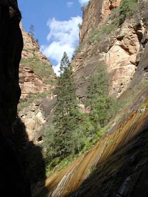 P9030079