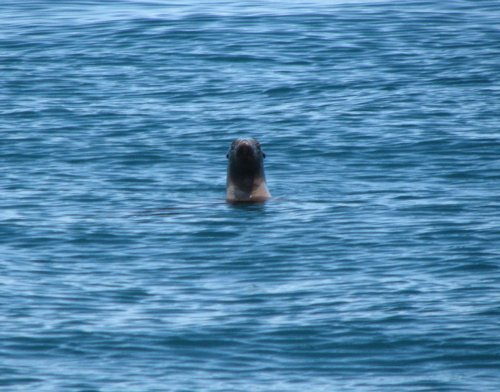IMG_1532