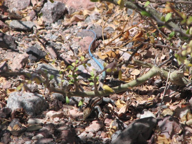 IMG_1720